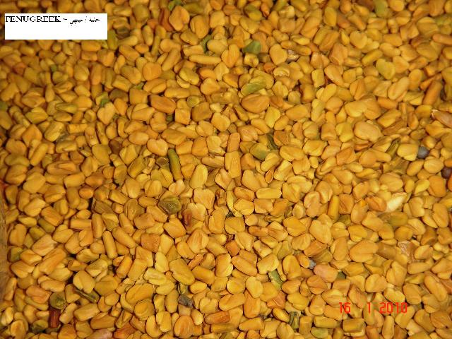 Fenugreek / Methi seeds